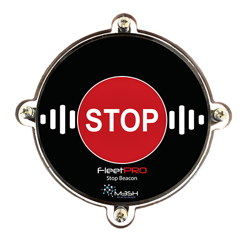 IMG In Vehicle Display CAS